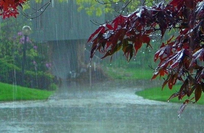 هرمز بارانی در روزهای تابستانی